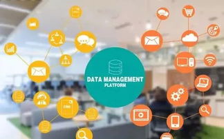 從鉛字到云端 印刷企業的數字化管理轉型之路